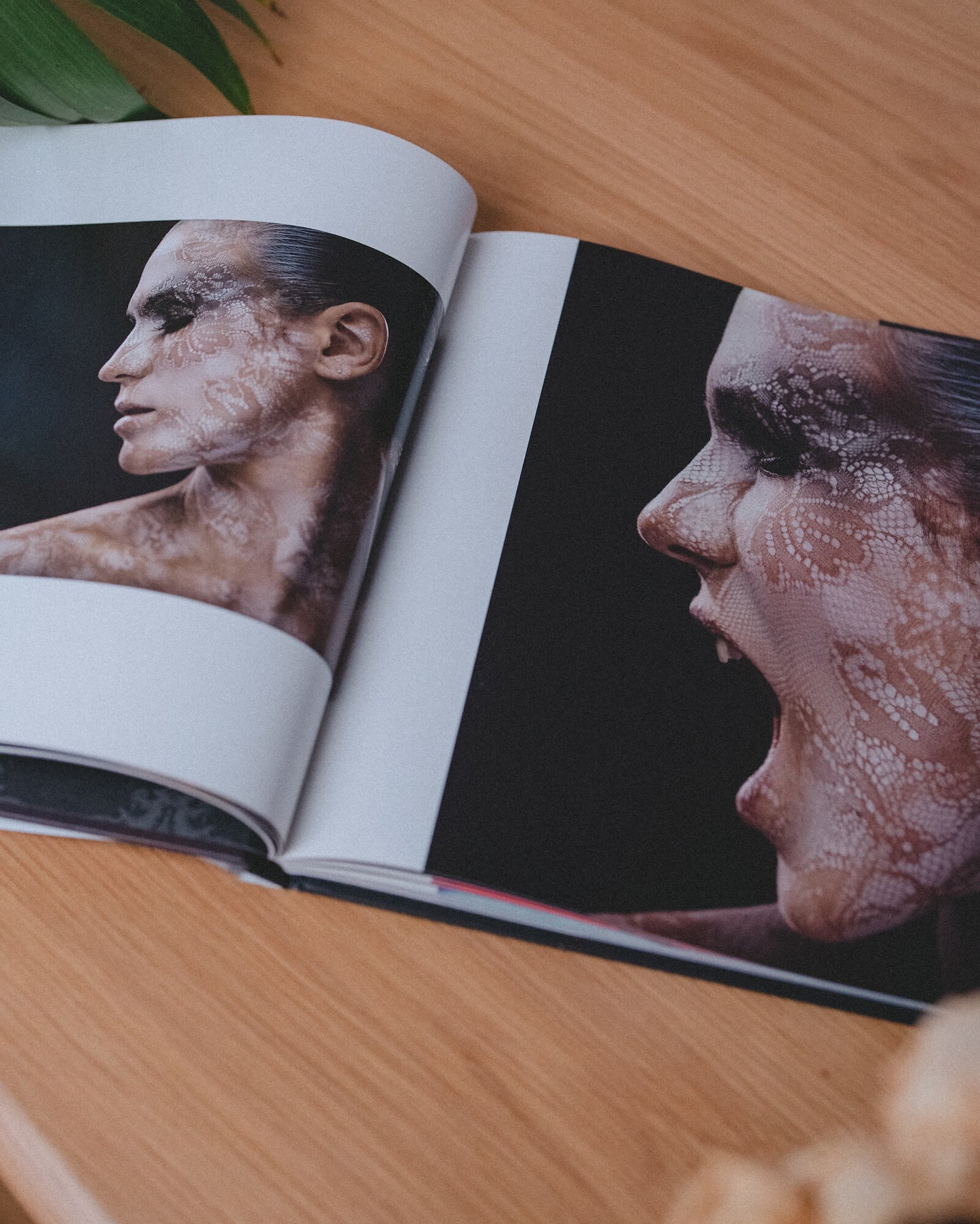 Book 100 Photos