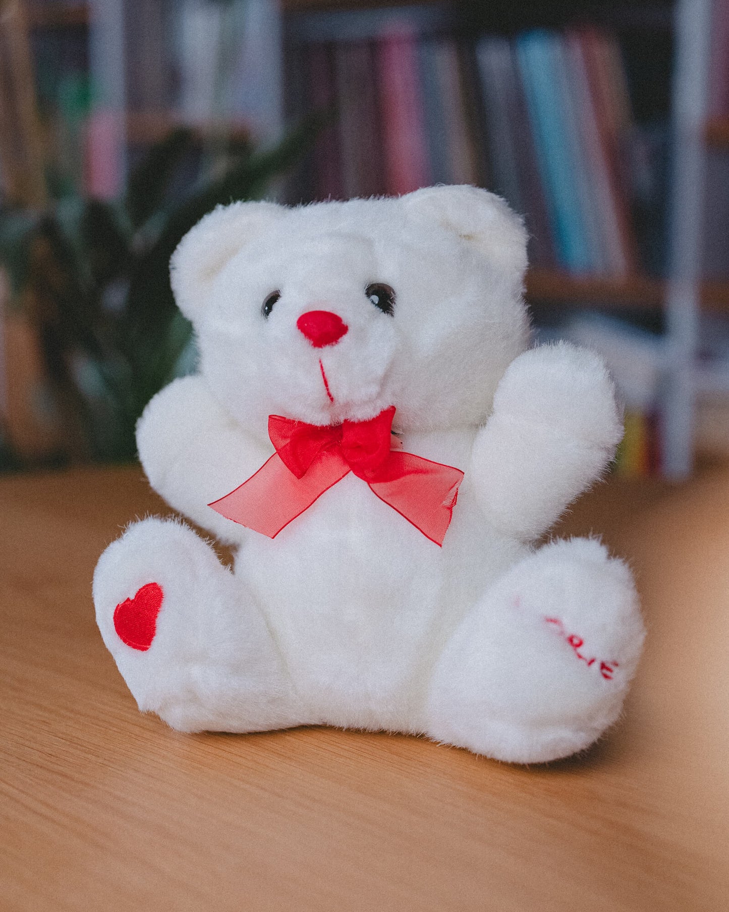 White teddy bear (pink or red)